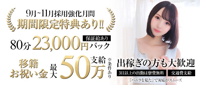 青いりんごの求人情報