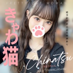 きゃわ猫誕生してます🐾 ロマネの新人ラッシュがノンストップ - ロマネ